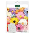 Big Blossoms