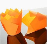 Orange Tulip Cases 50 Pack